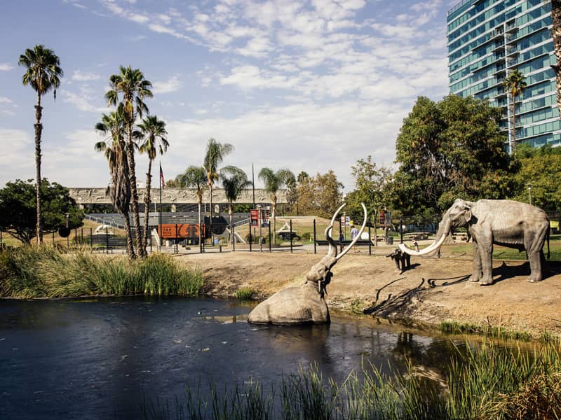 La Brea Tar Pits and Museum​ in Los Angeles