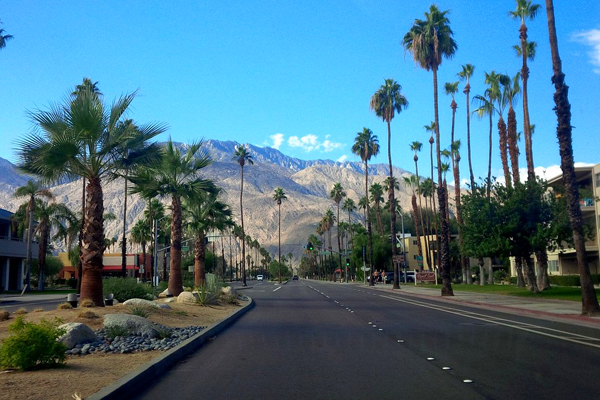 Palm Canyon Drive